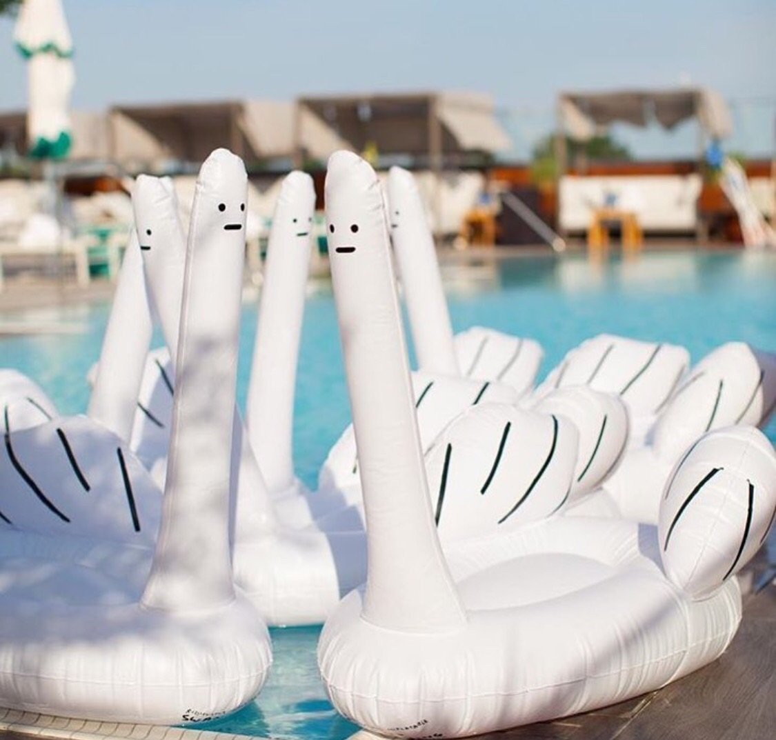 英國 Ridiculous Inflatable Swan-Thing 中指鵝浮床12